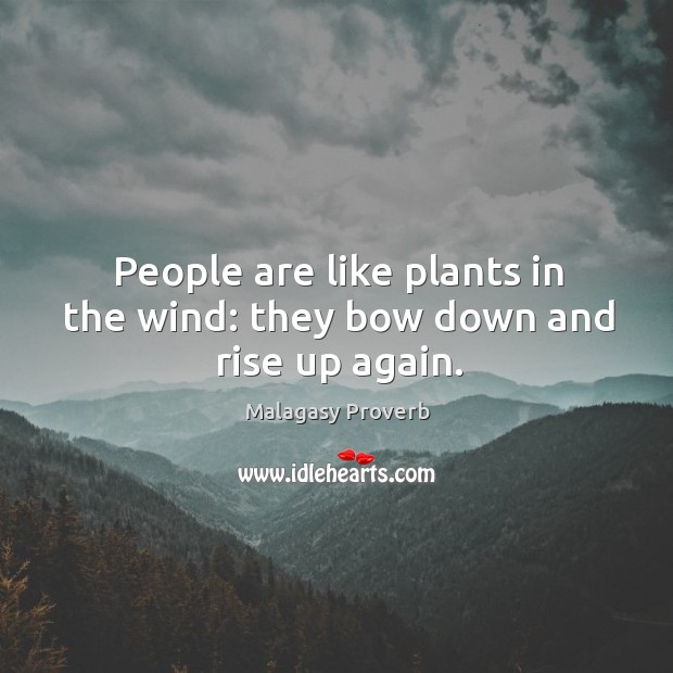 People are like plants in the wind: they bow down and rise up again. Image
