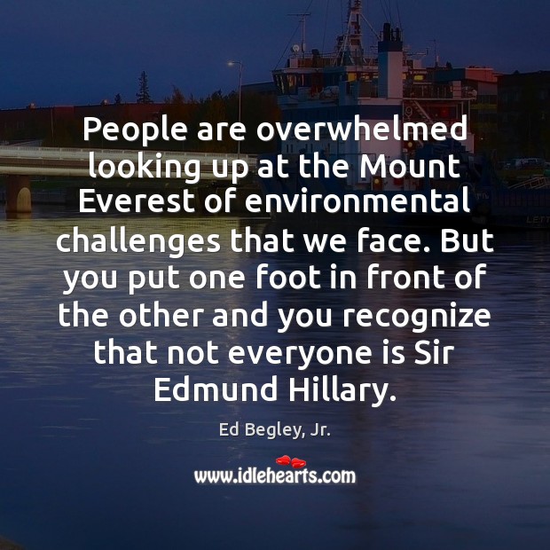 People are overwhelmed looking up at the Mount Everest of environmental challenges Ed Begley, Jr. Picture Quote