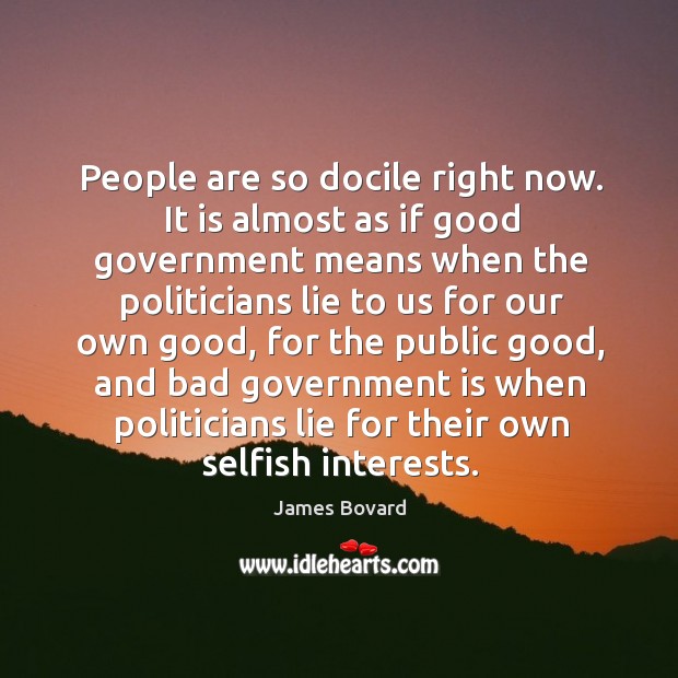 People are so docile right now. It is almost as if good government means when the politicians James Bovard Picture Quote