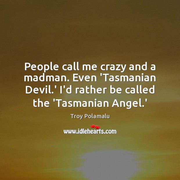 People call me crazy and a madman. Even ‘Tasmanian Devil.’ I’d Troy Polamalu Picture Quote