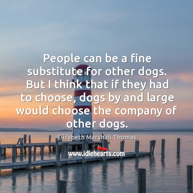 People can be a fine substitute for other dogs. But I think Elizabeth Marshall Thomas Picture Quote