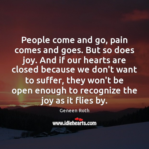 People come and go, pain comes and goes. But so does joy. Geneen Roth Picture Quote