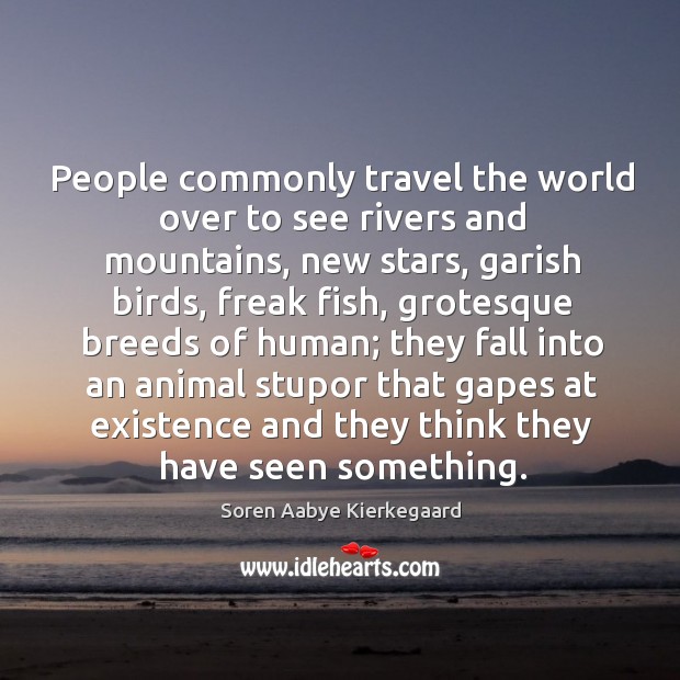 People commonly travel the world over to see rivers and mountains, new stars, garish birds Soren Aabye Kierkegaard Picture Quote