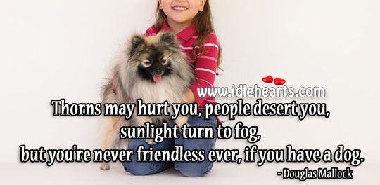 You’re never friendless ever, if you have a dog. Image
