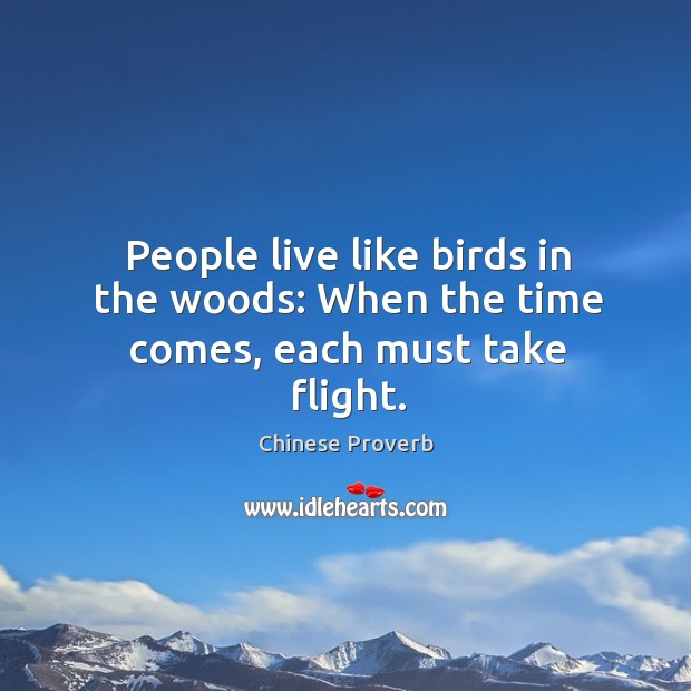 People live like birds in the woods: when the time comes, each must take flight. Chinese Proverbs Image