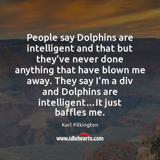 People say Dolphins are intelligent and that but they’ve never done Karl Pilkington Picture Quote