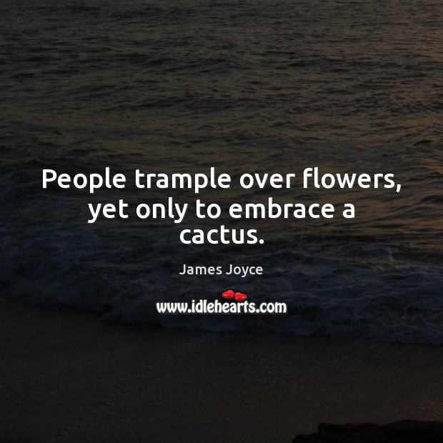 People trample over flowers, yet only to embrace a cactus. Image