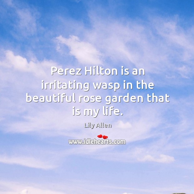 Perez Hilton is an irritating wasp in the beautiful rose garden that is my life. Image