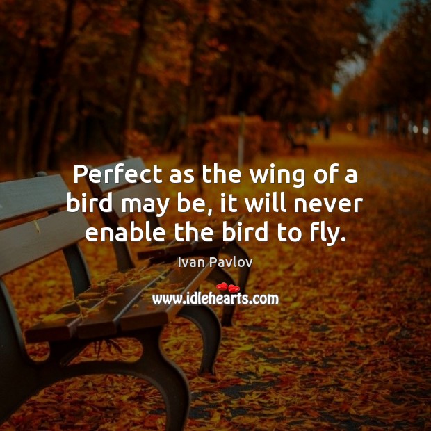 Perfect as the wing of a bird may be, it will never enable the bird to fly. Ivan Pavlov Picture Quote