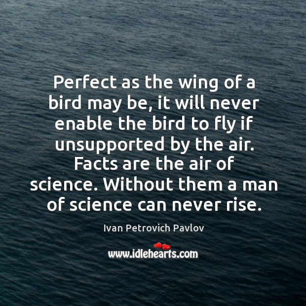 Perfect as the wing of a bird may be, it will never enable the bird to fly if unsupported by the air. Image