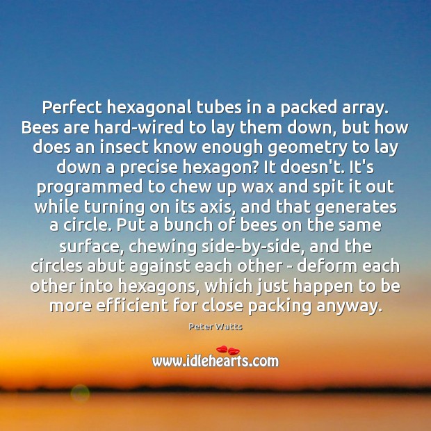 Perfect hexagonal tubes in a packed array. Bees are hard-wired to lay Peter Watts Picture Quote