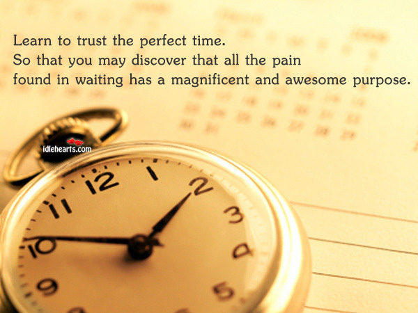 Learn to trust the perfect time Image