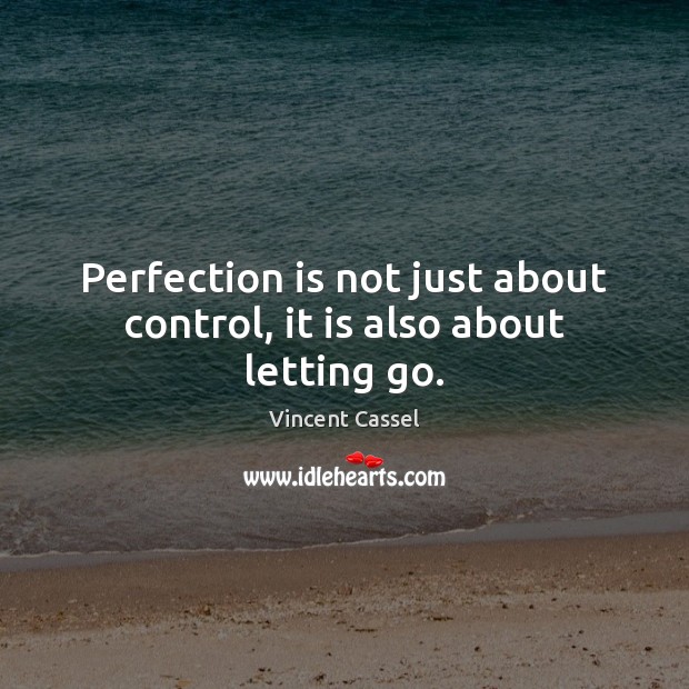 Perfection is not just about control, it is also about letting go. Vincent Cassel Picture Quote