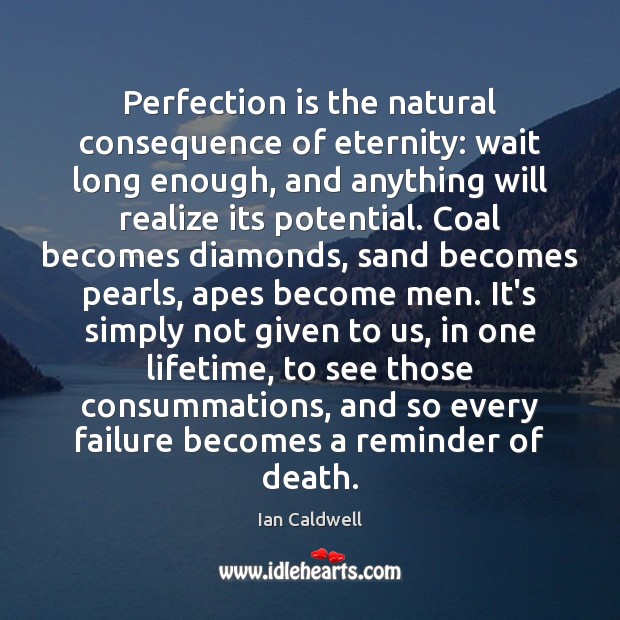 Perfection is the natural consequence of eternity: wait long enough, and anything Perfection Quotes Image