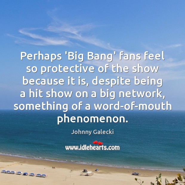 Perhaps ‘Big Bang’ fans feel so protective of the show because it Image