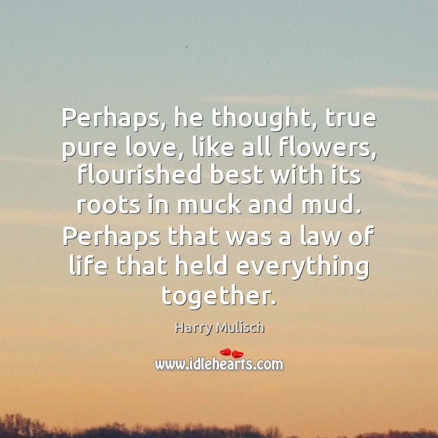 Perhaps, he thought, true pure love, like all flowers, flourished best with 
