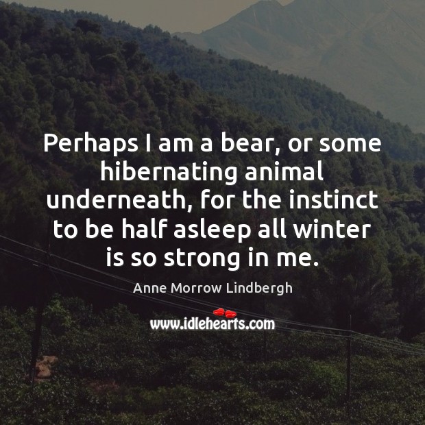 Perhaps I am a bear, or some hibernating animal underneath, for the Anne Morrow Lindbergh Picture Quote