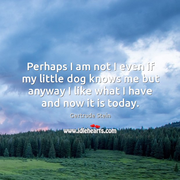 Perhaps I am not I even if my little dog knows me Gertrude Stein Picture Quote
