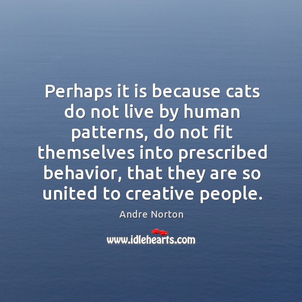 Perhaps it is because cats do not live by human patterns, do not fit themselves into Image