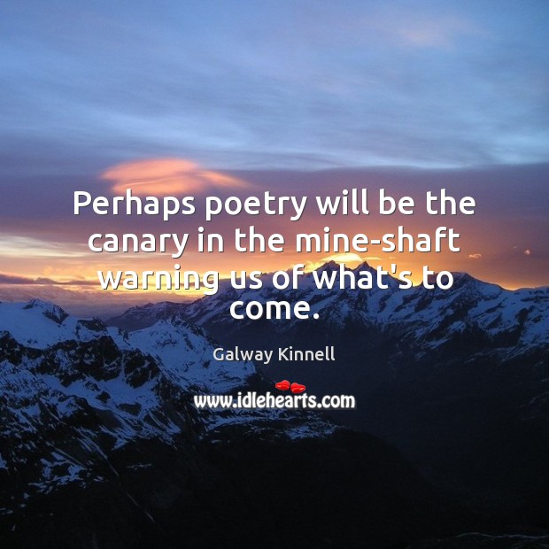 Perhaps poetry will be the canary in the mine-shaft warning us of what’s to come. Galway Kinnell Picture Quote