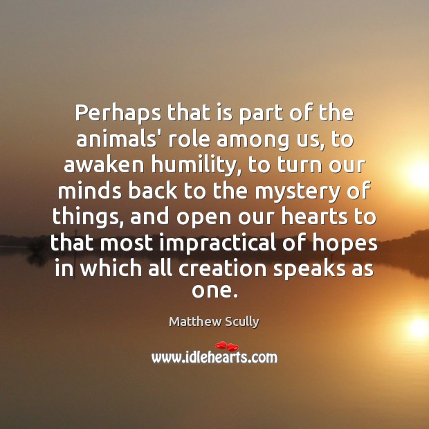 Perhaps that is part of the animals’ role among us, to awaken Humility Quotes Image