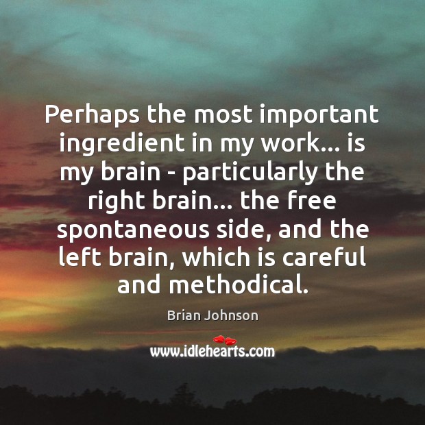 Perhaps the most important ingredient in my work… is my brain – Brian Johnson Picture Quote