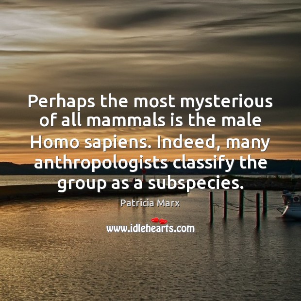 Perhaps the most mysterious of all mammals is the male Homo sapiens. Patricia Marx Picture Quote