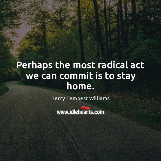 Perhaps the most radical act we can commit is to stay home. Terry Tempest Williams Picture Quote