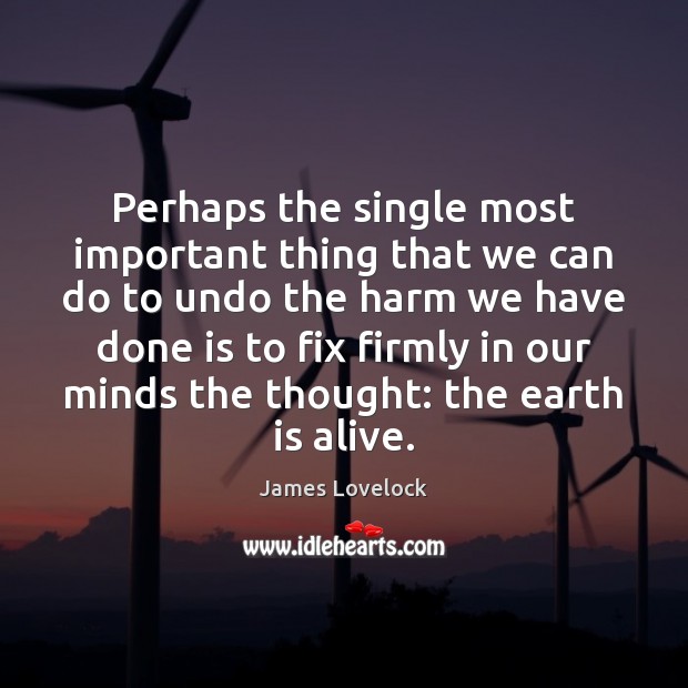 Perhaps the single most important thing that we can do to undo James Lovelock Picture Quote