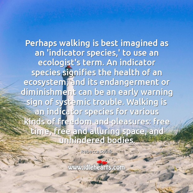 Perhaps walking is best imagined as an ‘indicator species,’ to use Image