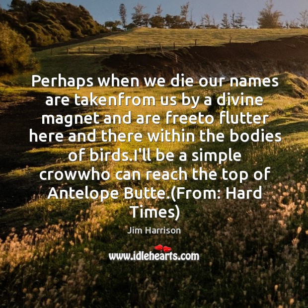 Perhaps when we die our names are takenfrom us by a divine Jim Harrison Picture Quote