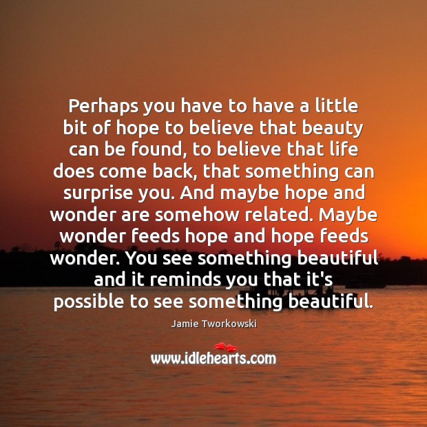 Perhaps you have to have a little bit of hope to believe Image