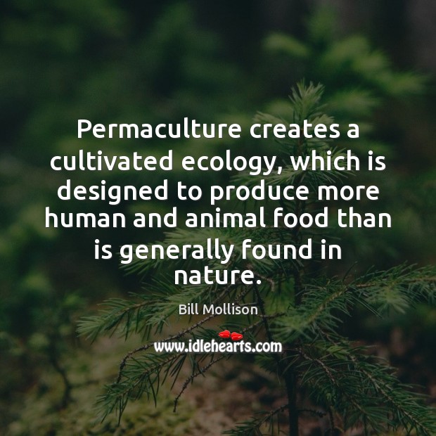 Permaculture creates a cultivated ecology, which is designed to produce more human Image