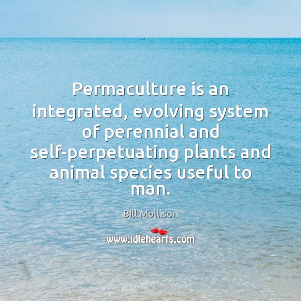 Permaculture is an integrated, evolving system of perennial and self-perpetuating plants and Image