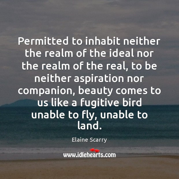 Permitted to inhabit neither the realm of the ideal nor the realm Elaine Scarry Picture Quote