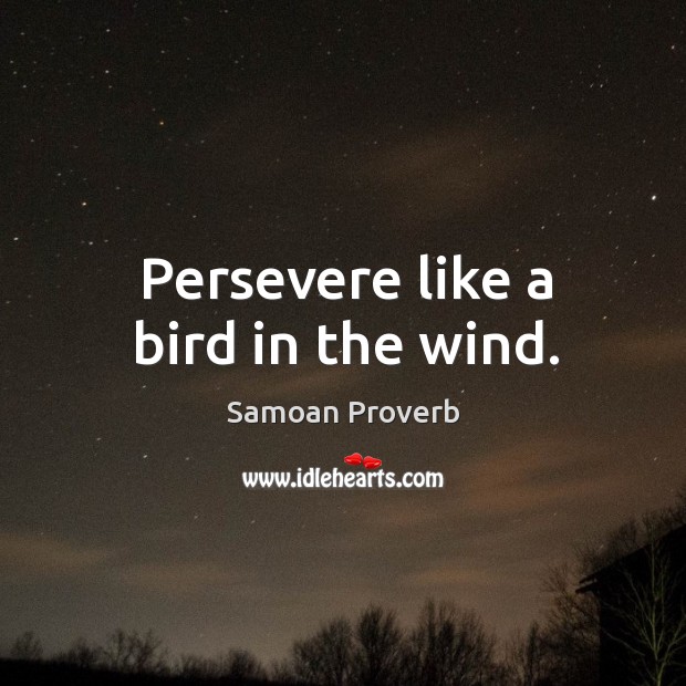 Persevere like a bird in the wind. Samoan Proverbs Image
