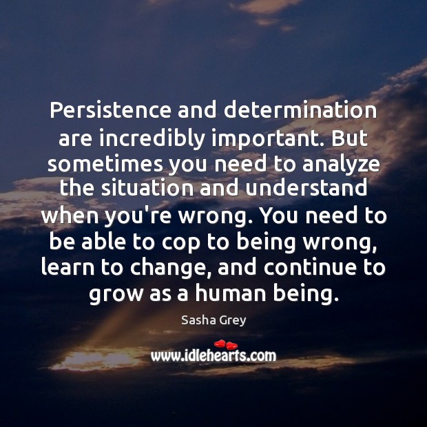 Persistence and determination are incredibly important. But sometimes you need to analyze Determination Quotes Image