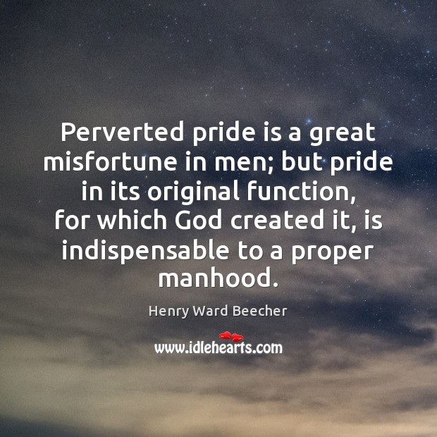 Perverted pride is a great misfortune in men; but pride in its Image