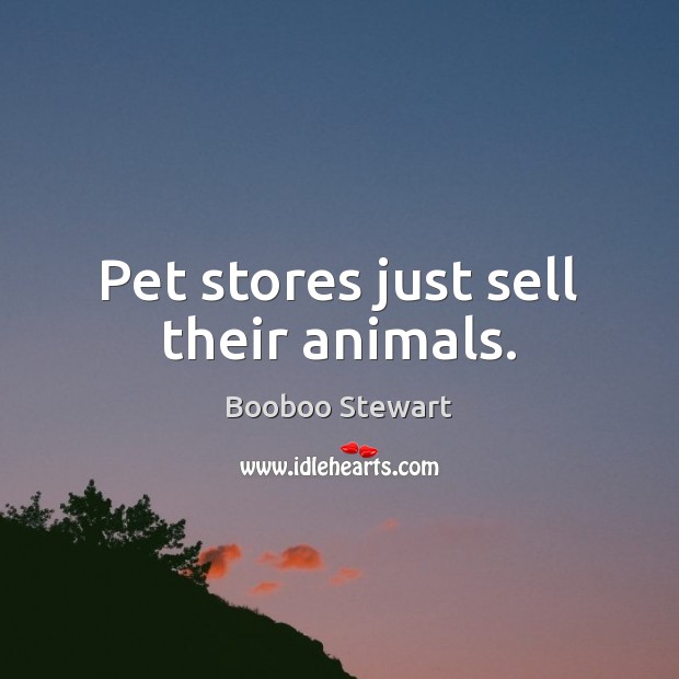 Pet stores just sell their animals. Booboo Stewart Picture Quote