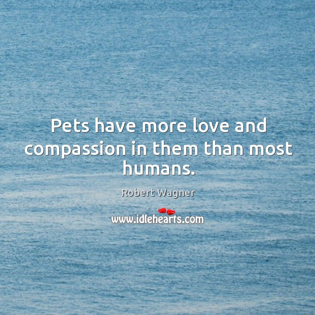 Pets have more love and compassion in them than most humans. Robert Wagner Picture Quote