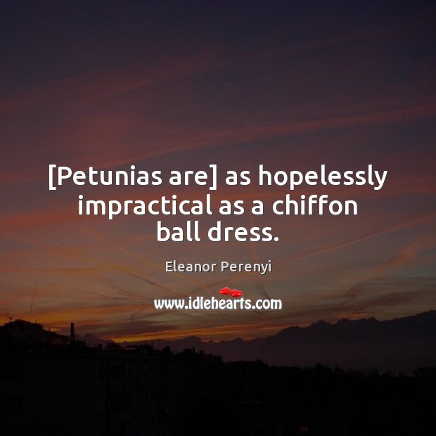 [Petunias are] as hopelessly impractical as a chiffon ball dress. Eleanor Perenyi Picture Quote