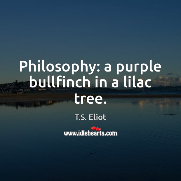 Philosophy: a purple bullfinch in a lilac tree. Image