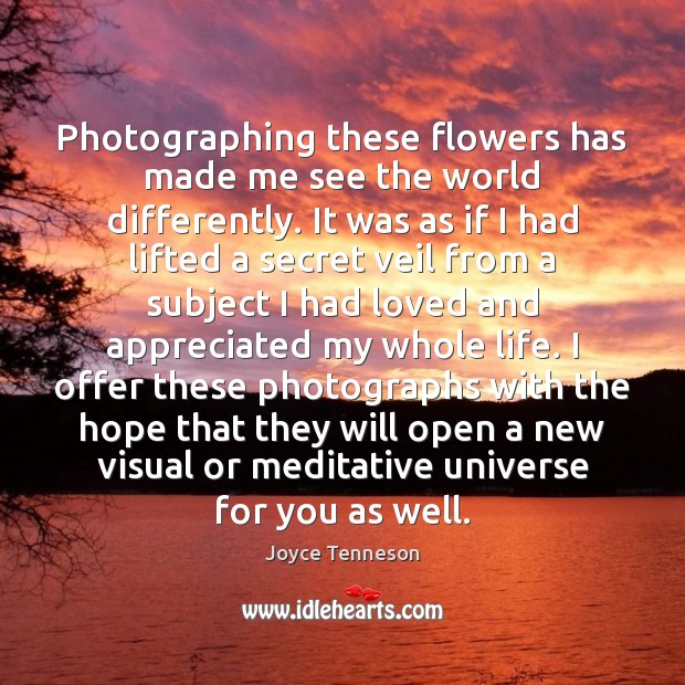 Photographing these flowers has made me see the world differently. It was Image