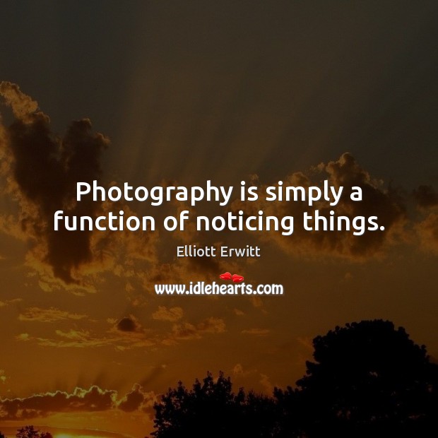 Photography is simply a function of noticing things. Image