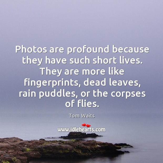 Photos are profound because they have such short lives. They are more 