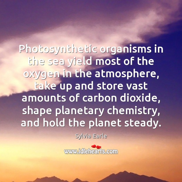 Photosynthetic organisms in the sea yield most of the oxygen in the Image