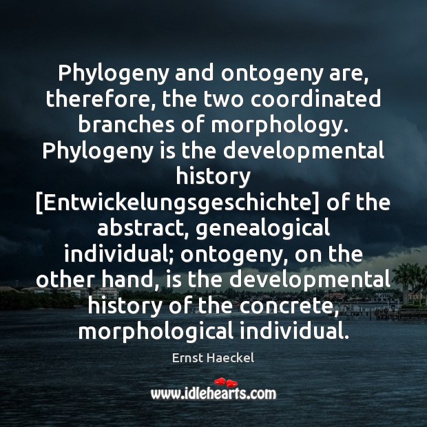 Phylogeny and ontogeny are, therefore, the two coordinated branches of morphology. Phylogeny Ernst Haeckel Picture Quote