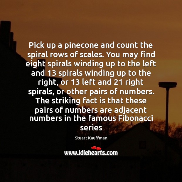 Pick up a pinecone and count the spiral rows of scales. You Stuart Kauffman Picture Quote
