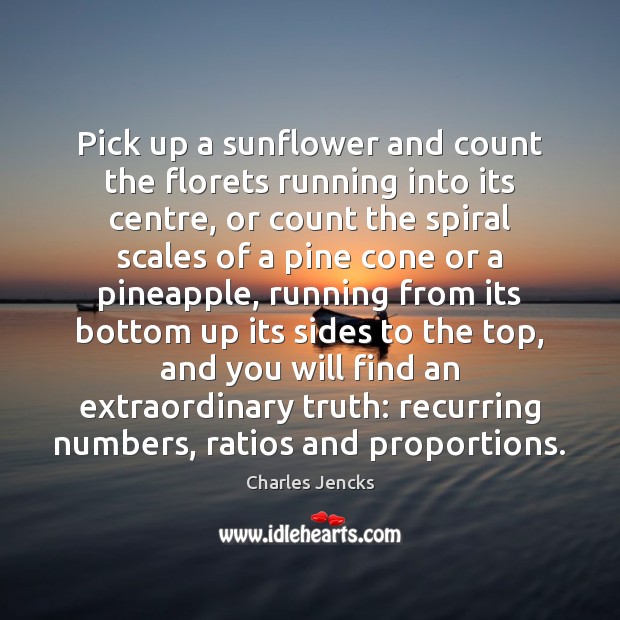 Pick up a sunflower and count the florets running into its centre, Charles Jencks Picture Quote