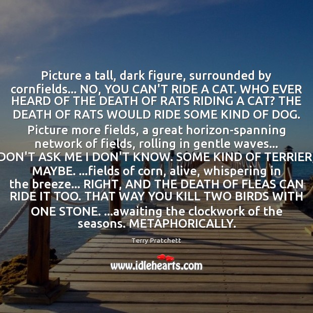 Picture a tall, dark figure, surrounded by cornfields… NO, YOU CAN’T RIDE Terry Pratchett Picture Quote
